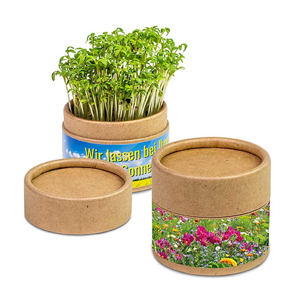 Pflanz-Cup mit Samen - Ostern - Sommerblumenmischung