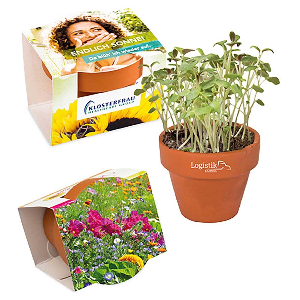 Logo-T�pfchen Komplettbanderole mit Samen -