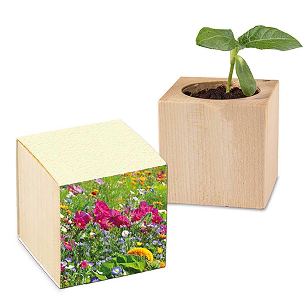 Pflanz-Holz mit Samen (Graspapier-Banderole) -