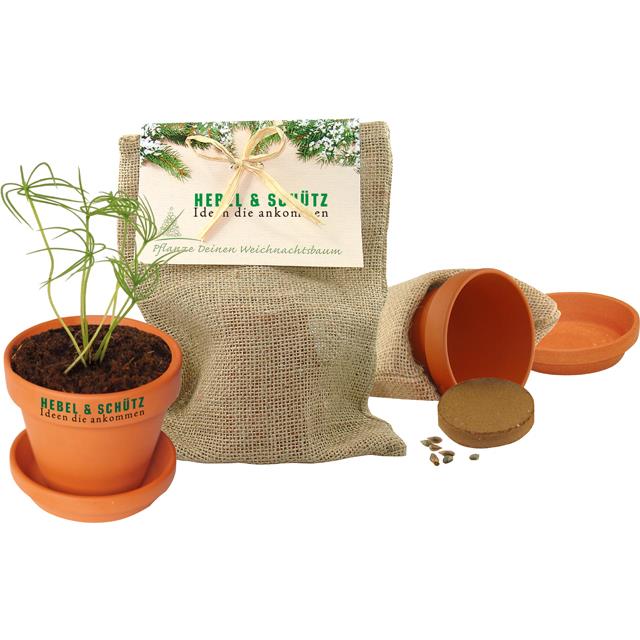 Natur - S�ckchen Pflanze deinen Baum
