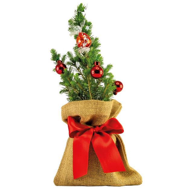 Kugelglanz-B�umchen 20-30 cm