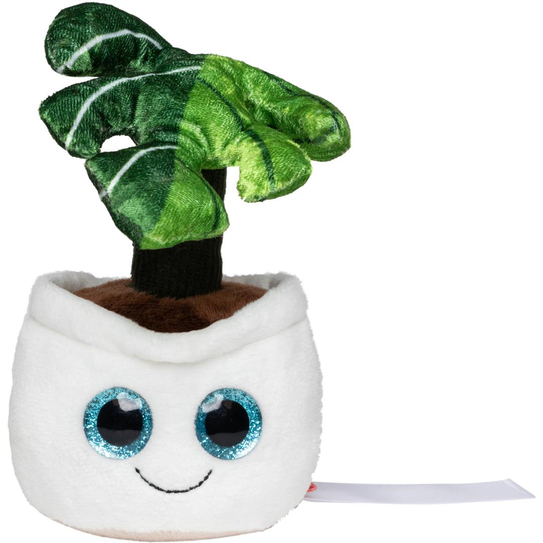 Schmoozies� Evergreenies� Monstera