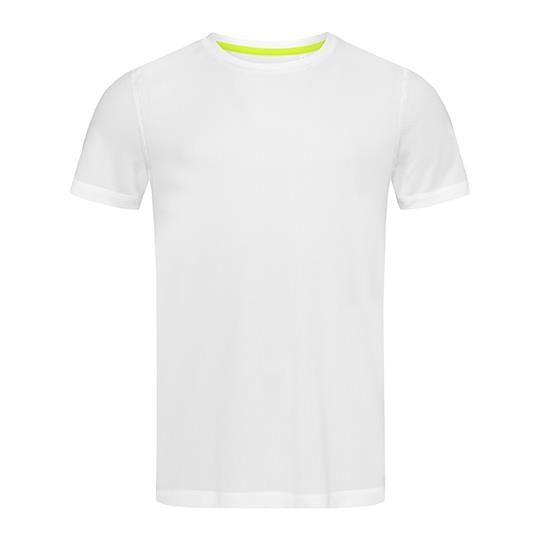Mesh-T
